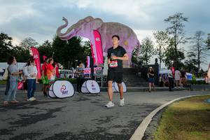 BIB: 
                            <button type="button" onclick="openModal(26529361)" class="btn btn-primary btn-sm float-right btn-popup" data-toggle="modal" data-target=".modal-high-quality">
                        <i class="fas fa-shopping-cart"></i> Add to Cart
                    </button>
                                            <button type="button" onclick="isThisMe(26529361, true)" class="btn btn-success btn-sm float-right btn-popup btn-isme hidden" data-toggle="tooltip" data-placement="bottom" title="นี่คือรูปของคุณใช่ไหม คลิกที่นี่เพื่อเอาเข้าอัลบั้ม">
                        <i class="fas fa-plus"></i> Add to album
                    </button>
                    <button type="button" onclick="isThisMe(26529361, false)" class="btn btn-warning btn-sm float-right btn-popup btn-isnotme hidden">
                        <i class="fas fa-ban"></i> Remove from album
                    </button>